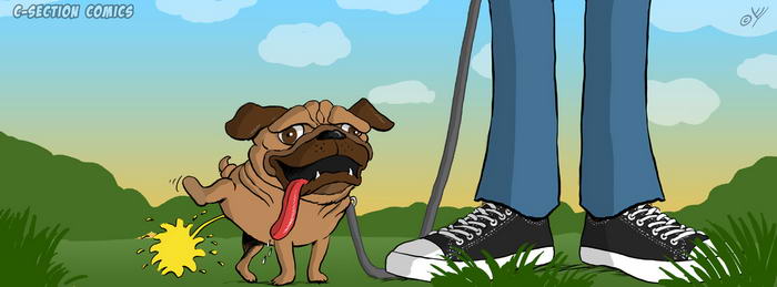 Facebook Cover Photo - Pug Peeing in Nature