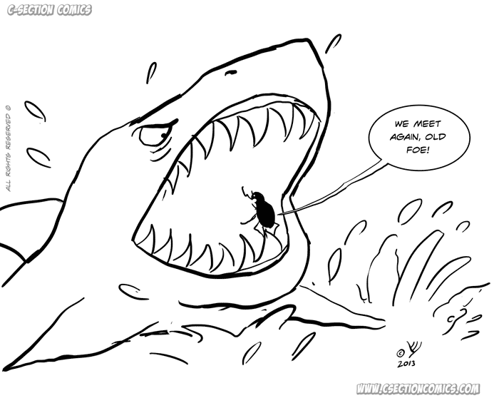 Shark vs. Beetle