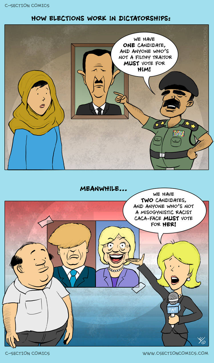 How elections work in dictatorships - by C-Section Comics