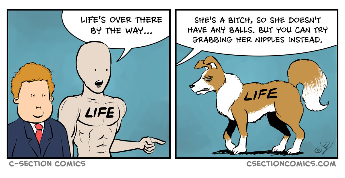Life's a Bitch - by C-Section Comics