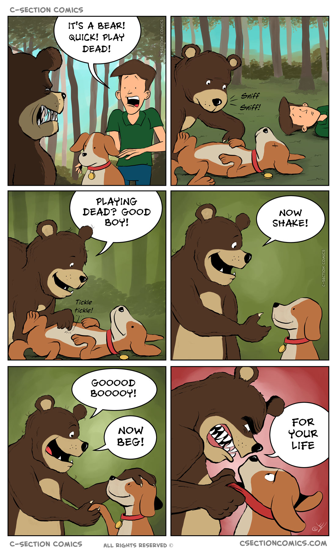 Drawing this comic was... un-bear-ably ruff  ----- ***(+5000 for DOUBLE PUN, LEVEL UP)***