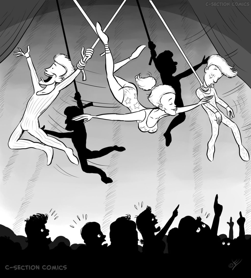 Aerial Acrobats - Cartoon by C-Section Comics